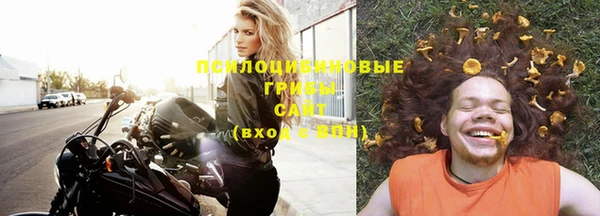 молекула духа Навашино
