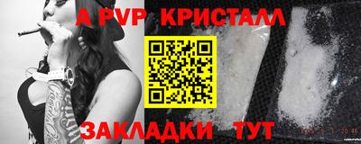 эйфоретик Гай
