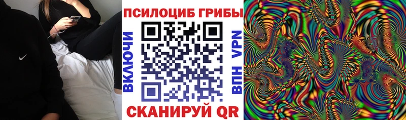 купить закладку  Карачаевск  Псилоцибиновые грибы MAGIC MUSHROOMS 