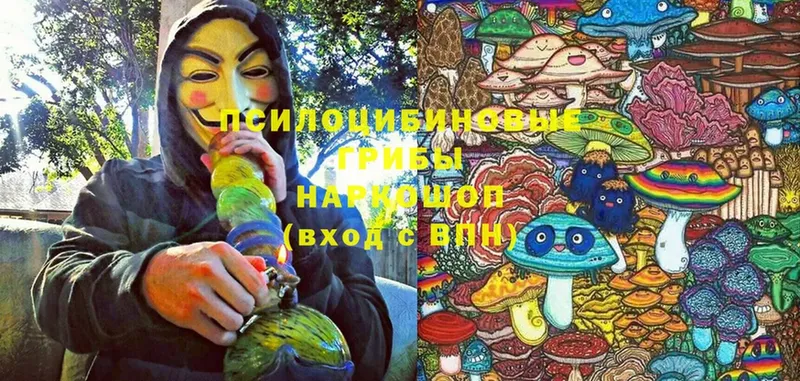 MEGA ссылки  Карачаевск  Галлюциногенные грибы Magic Shrooms 