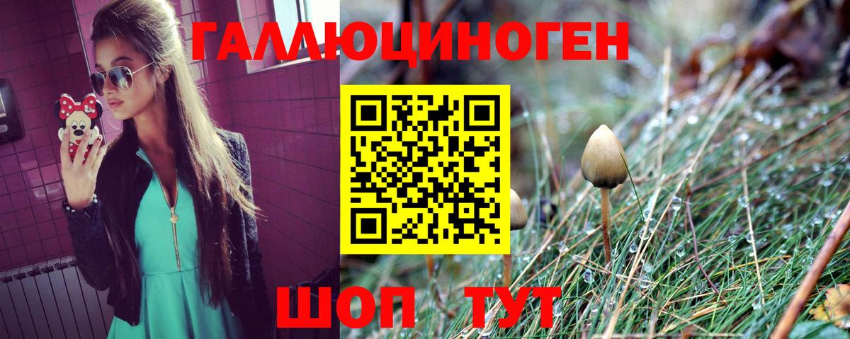 Галлюциногенные грибы MAGIC MUSHROOMS  Вход с VPN  Карачаевск 